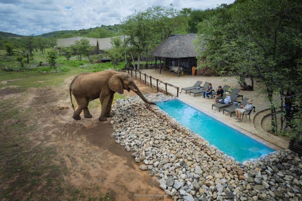 Ongava Tented Camp オカウクエジョ エクステリア 写真