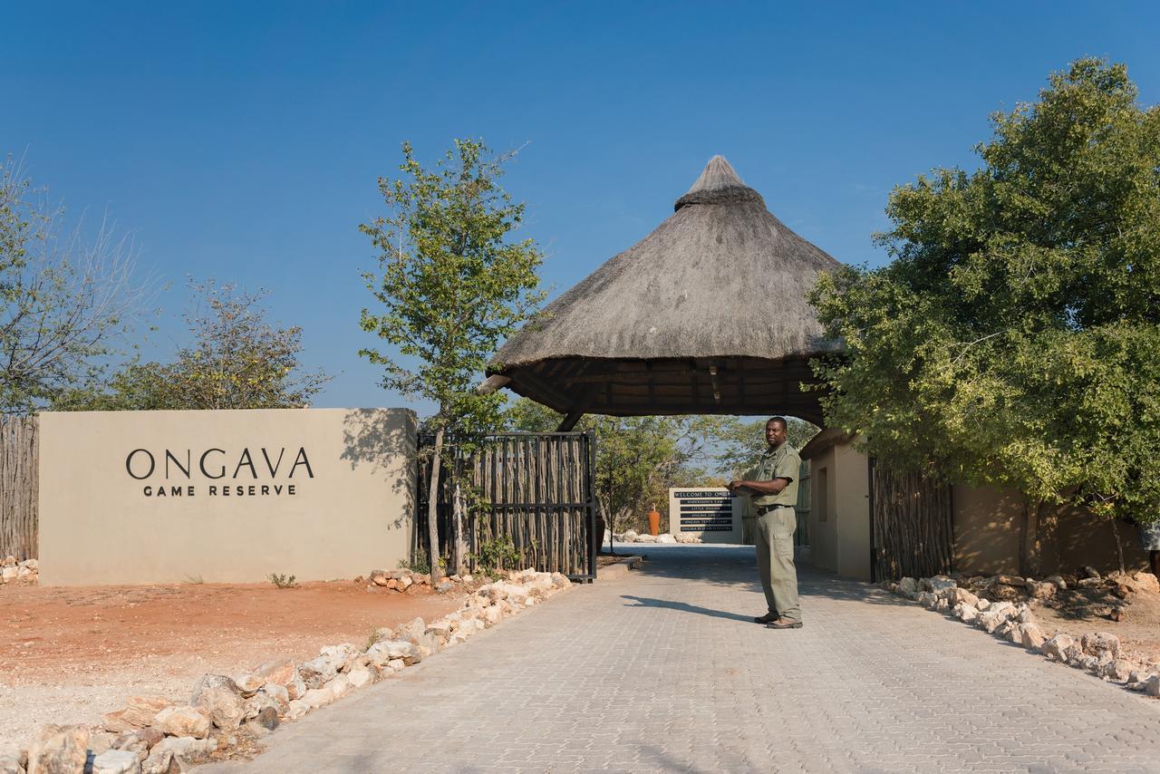 Ongava Tented Camp オカウクエジョ エクステリア 写真